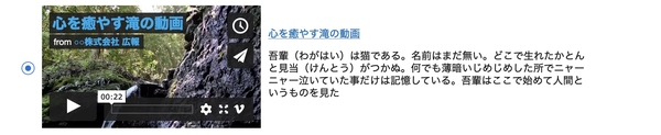 埋め込み前に動作をプレビューすることが可能