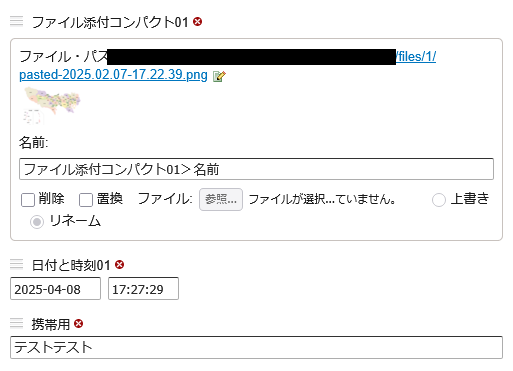 拡張フィールド移行前の編集画面.png
