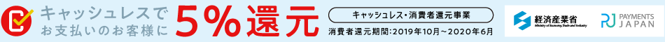 payments_japan.png